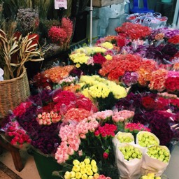 Moonshine Travel Service Pak Klong Talad Flower Maket Bangkok