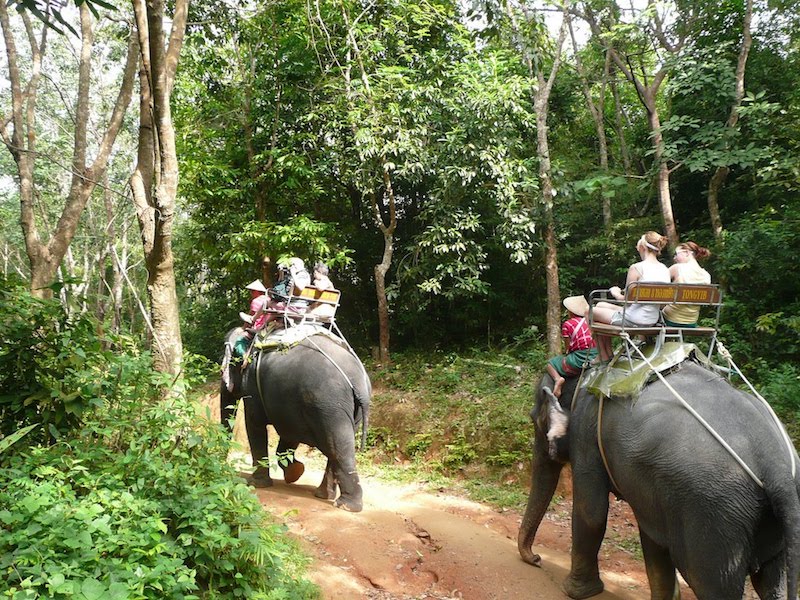 Phuket Safari Private Tour Included Lunch from Phuket