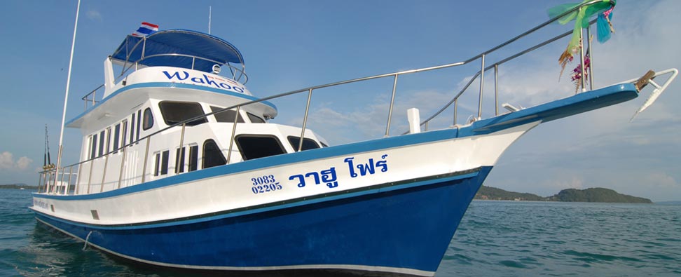 Stacks Image 1083