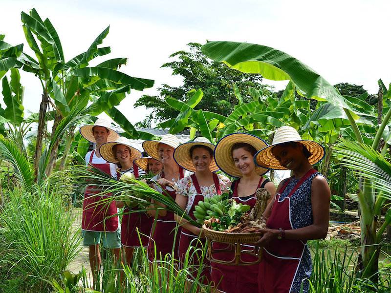Organic Thai Cooking Class from Chiang Mai - Joint Class