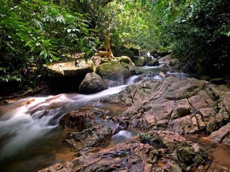 Half-Day Phuket Jungle Walk Tour from Khao Lak - Private Tour